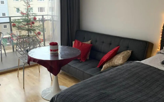 Oja 118 Apartment