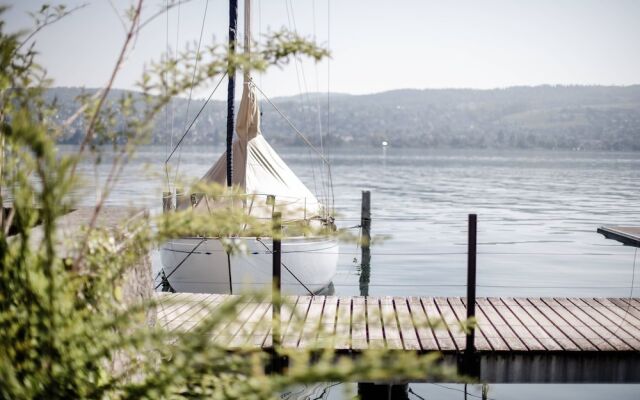 Alex Lake Zurich