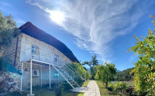 Olympos Angels Garden
