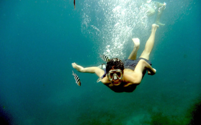 Majika's Island Resort