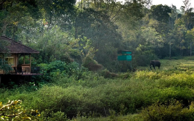 Jungle Retreat Wayanad