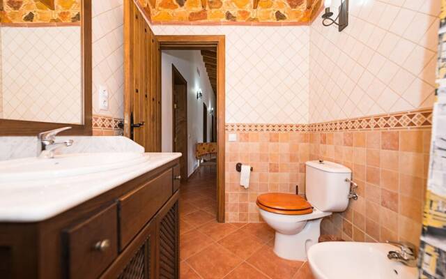Amazing Typical Canary Rural House
