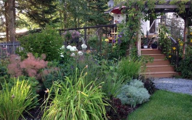 Arbor Bed and Breakfast