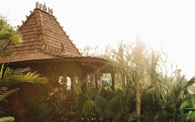 White Tortoise Eco Villa's