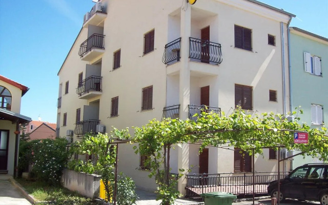 Pansion Comfort Exclusive