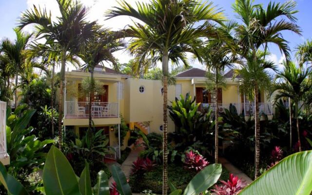 Negril Palms