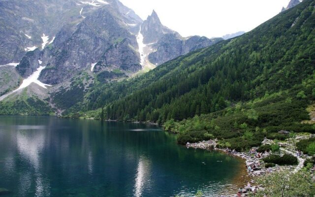 Zakopane Stop