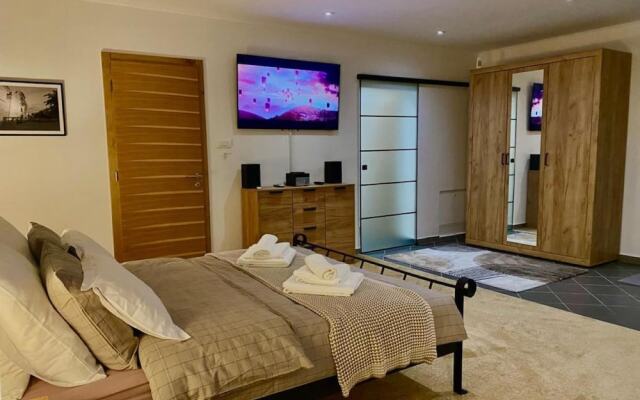 Luxury 1-bed Apartment in Varazdinske Toplice