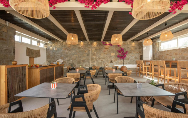 Alexandros Mykonos