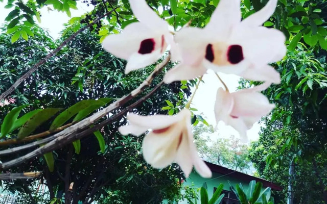 Xuanmai Garden Resort