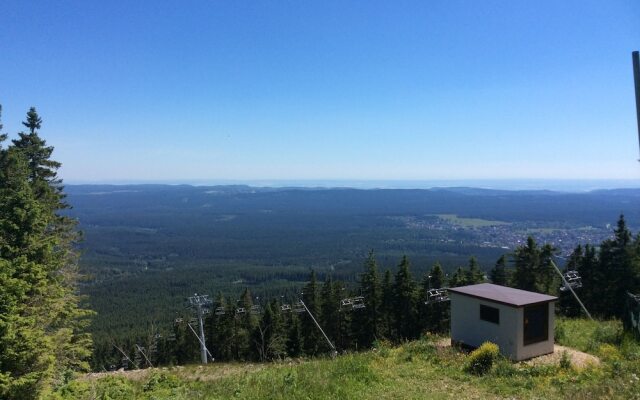 Design Hotel Viktoria