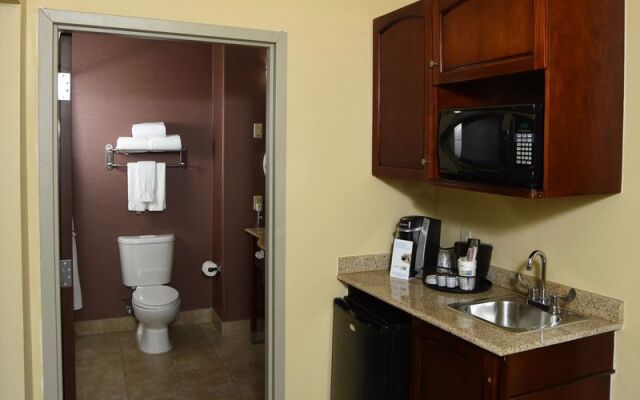 Holiday Inn Express Hotel & Suites Seguin