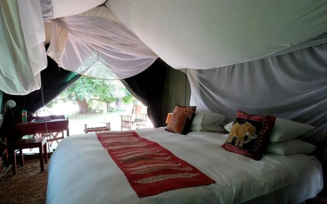 Croc Valley Camp