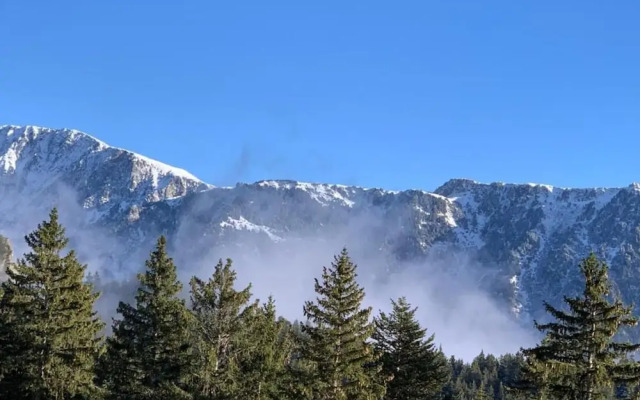 Serene Alpine Stay for 6 Guests