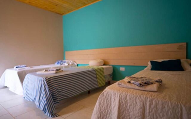 Ara Suite