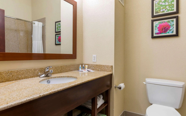 Comfort Suites Copperas Cove