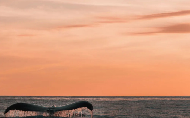 La Alberca Boutique Hotel