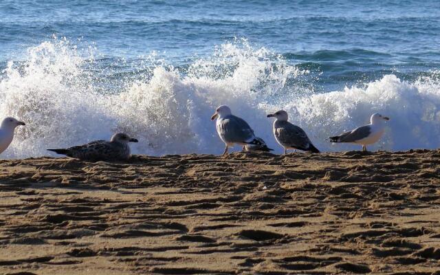 Apartamentos Royal S´Alguer