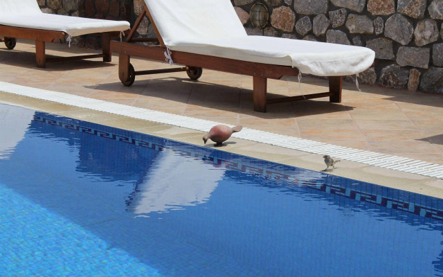Hotel Thira
