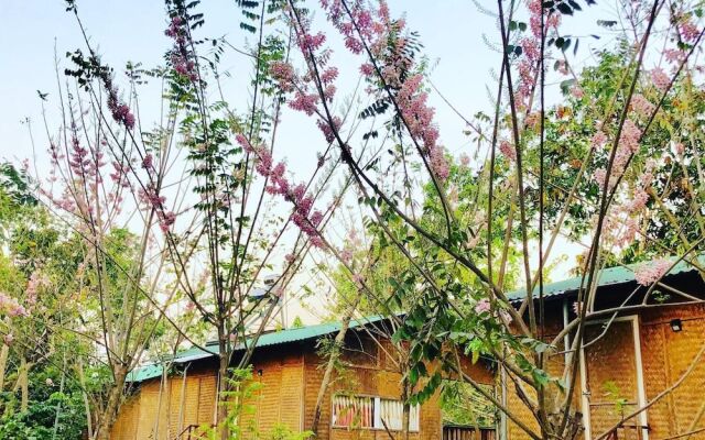 Spirit Garden Guesthouse