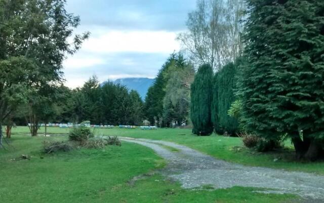 Bosque Patagonico