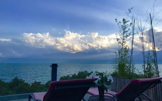 Artsy Habitat Mansion