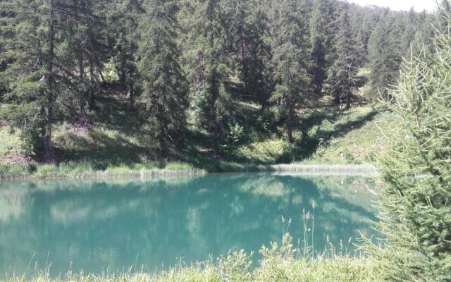 Appartement pour 4 personnes à Puy St Vincent 1700