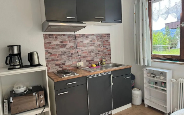 Picturesque Studio in Sibratsgfall With Garden