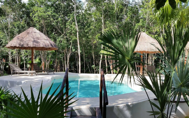Pura Vida Cancun