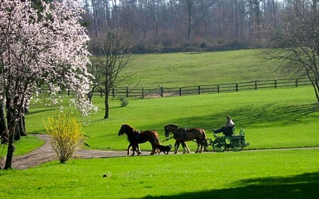 Chambres dhôtes La Verrerie du Gast