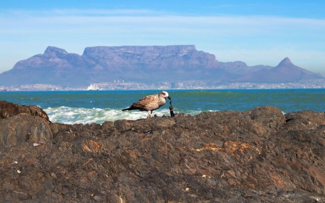 Eden on the Bay Studios