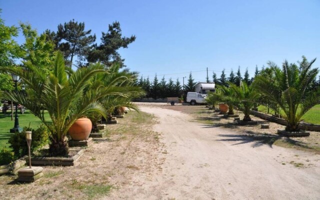 The Camp