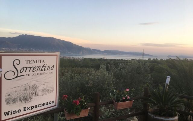 Sorrentino Vini Country House