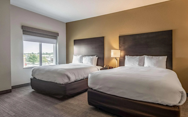 Comfort Suites Brunswick Town Center