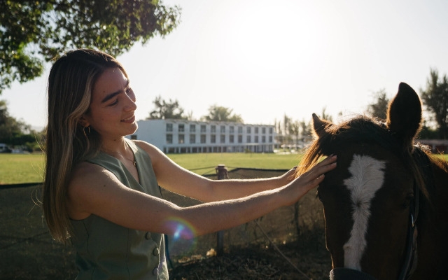 BTH Hotel Arequipa Lake