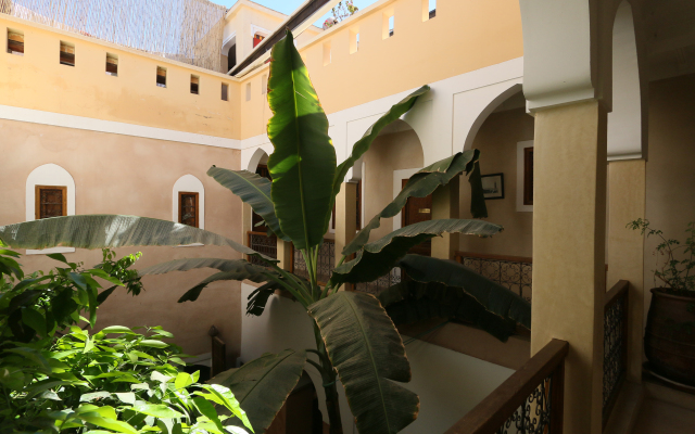 Riad Sidi Mimoune