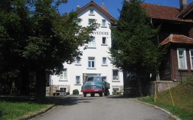 Hotel Restaurant Belvedere — 3-star hotel in Weissbad