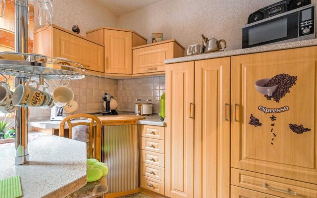 Lovely Apartment in Ilsenburg Harz near Ski Area