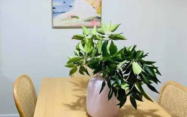 Family Favourite, Spacious 2 Bedroom Unit