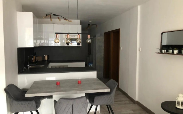 Ski and Lake View Apartment