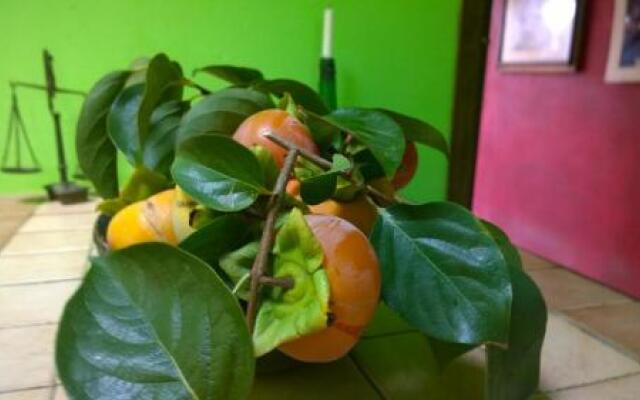 Guest House Debora