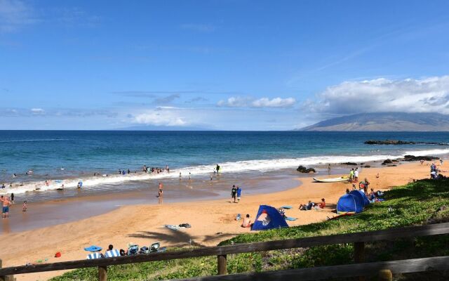 Maui Banyan Q204 by RedAwning