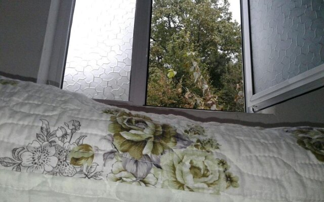 Ilgars Guesthouse