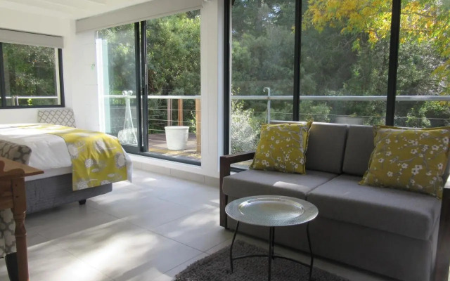 Pecan Tree Studio 2