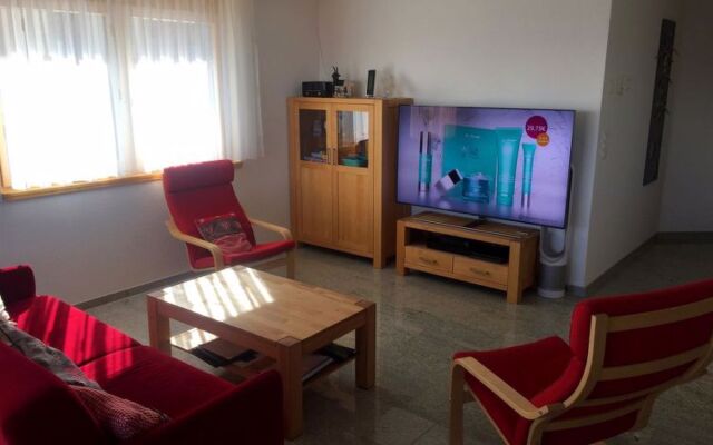 Amici 1. Stock Allegra