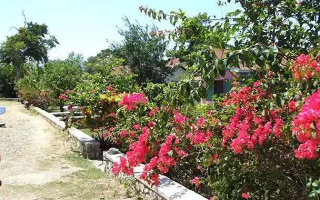 Summerset Village