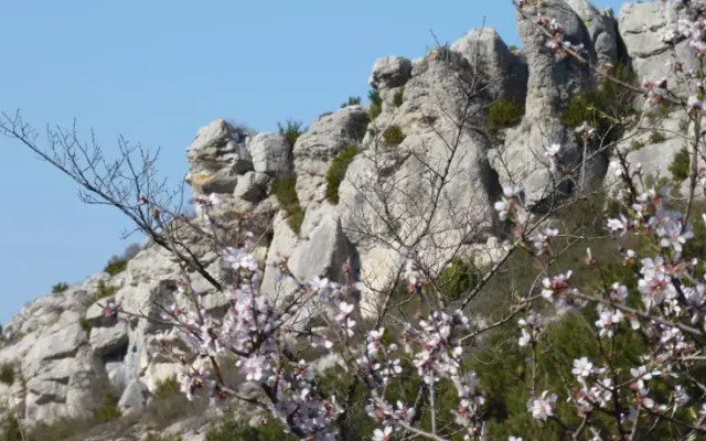 Les Treilles de L'Alaric