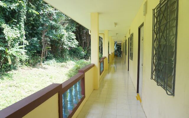 Palmy Home