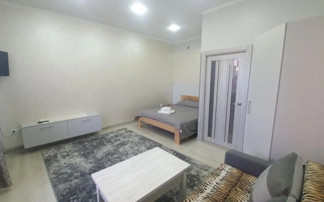 Apartment in Truskavets