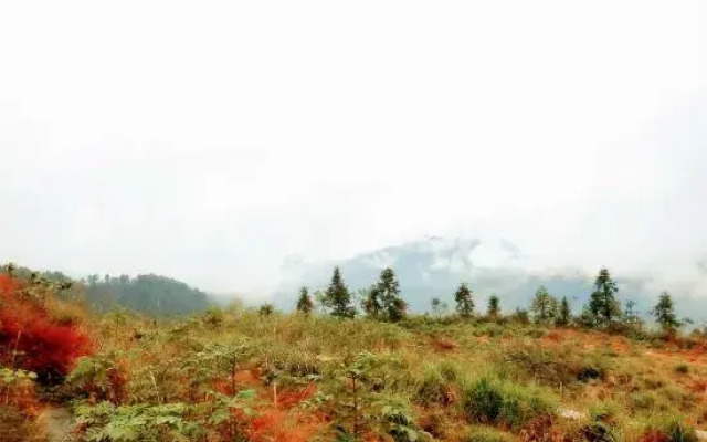 Chongqing Xingyu Xingyuan Tent Homestay please